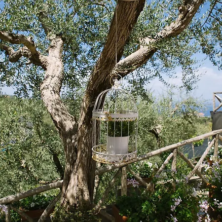 Villa Carolina
