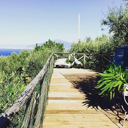 Carolina Villa Sorrento