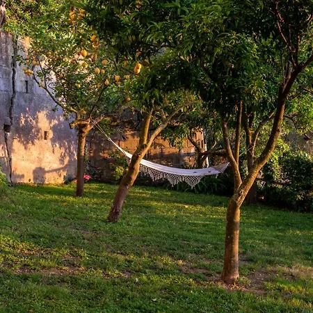 Villa Carolina Sorrento Private Heated Mini Pool And Sea View * Sorrento