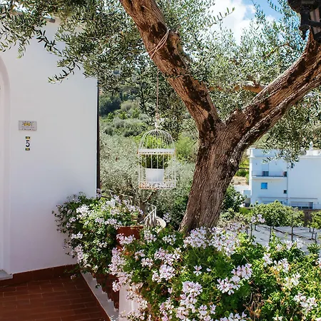 Carolina Private Heated Pool And Sea View * Сорренто