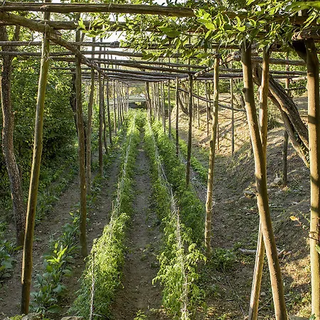 Вілла Carolina Private Heated Pool And Sea View