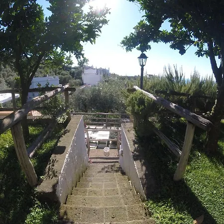 Villa Carolina Sorrento Private Heated Mini Pool And Sea View Villa *