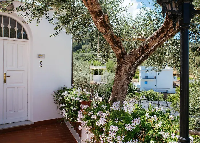 Carolina Private Heated Pool And Sea View * Sorrento