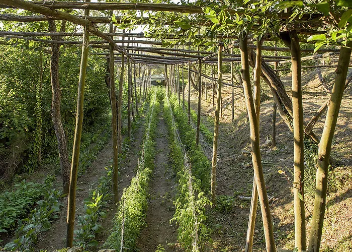 Villa Carolina Private Heated Pool And Sea View